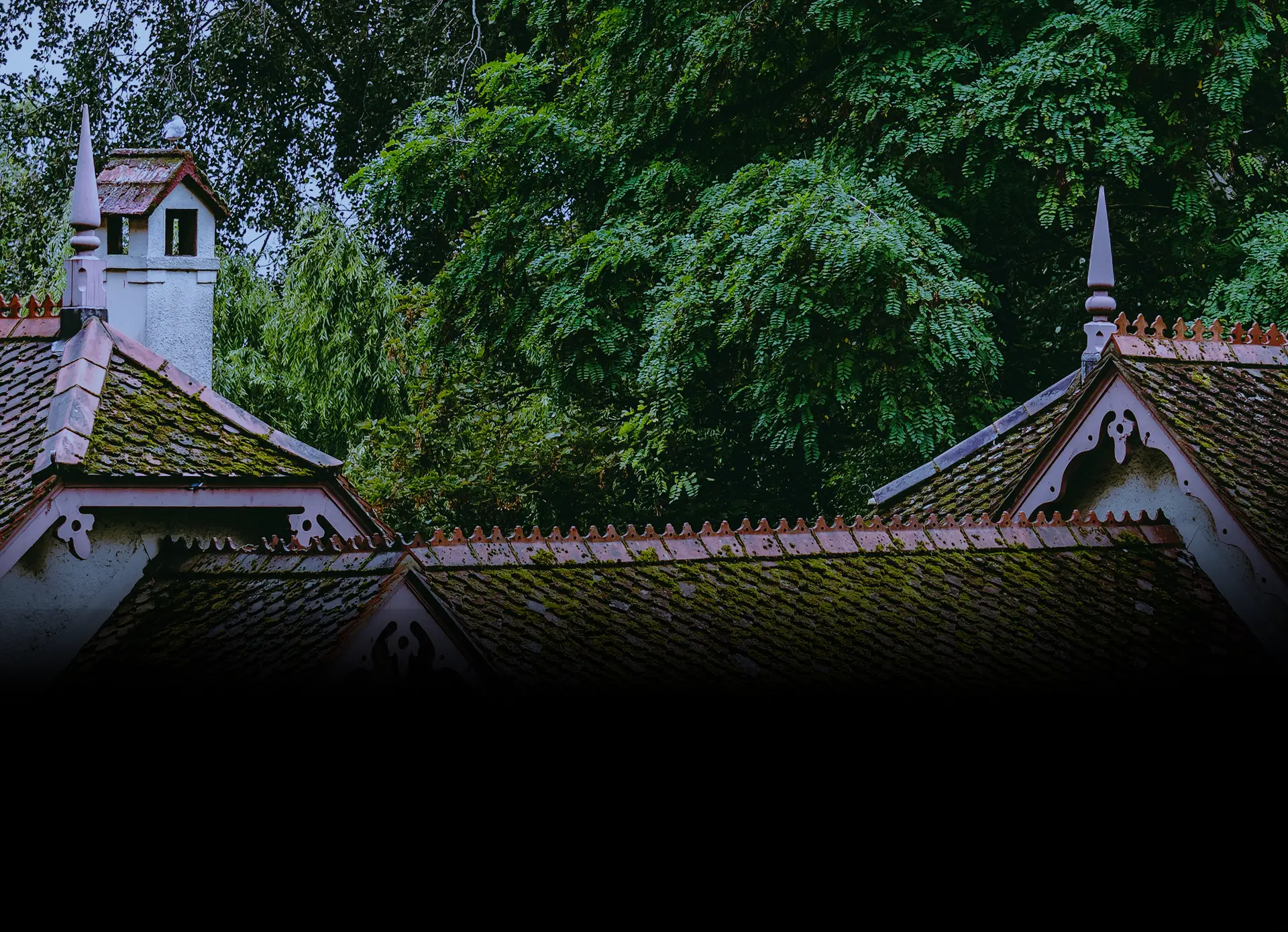 CF Handyman roofing products background