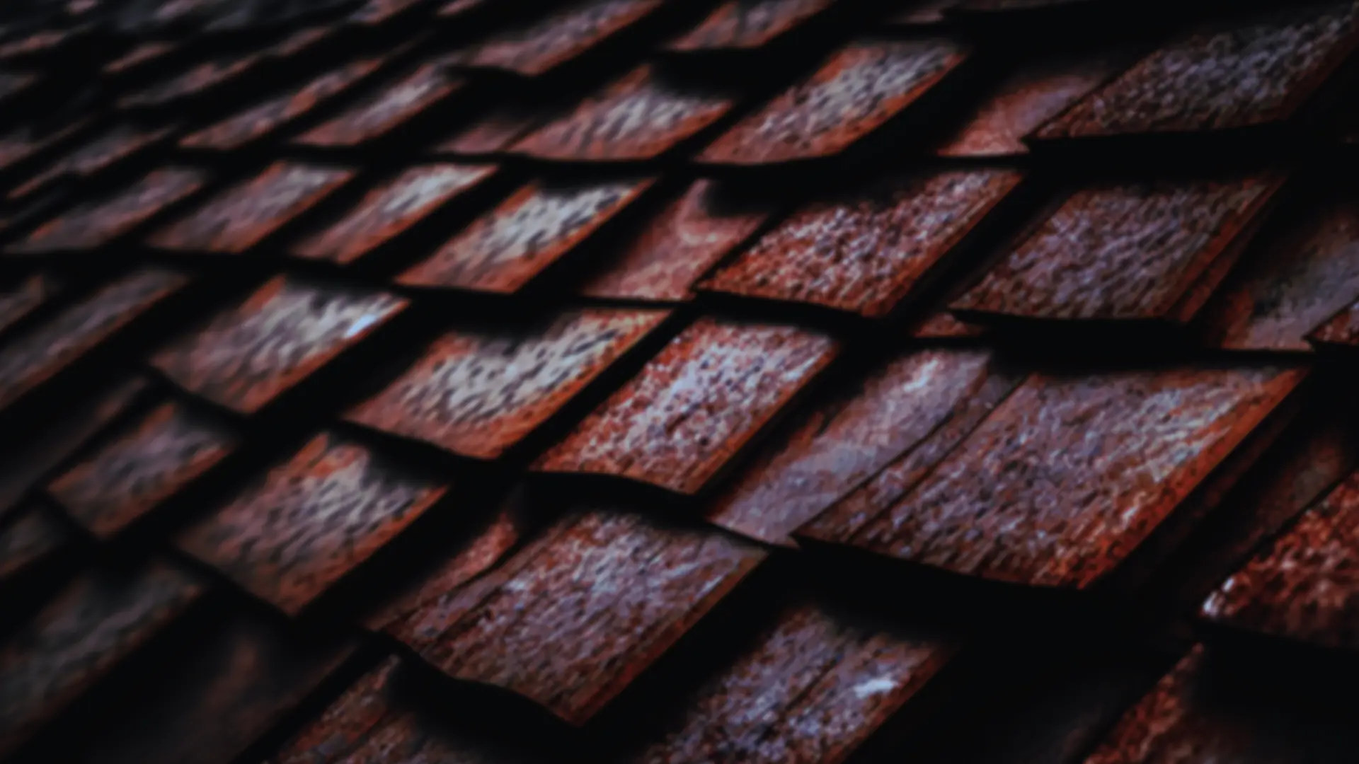CF Handyman roofing project
